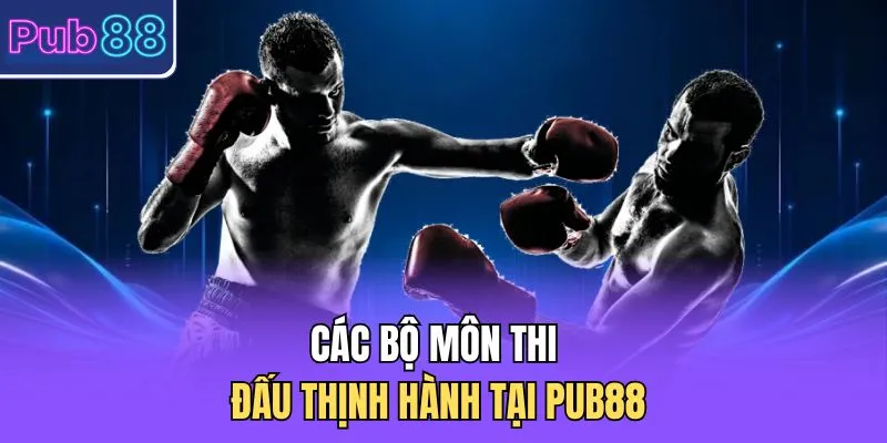 Các bộ môn thi đấu thịnh hành tại PUB88