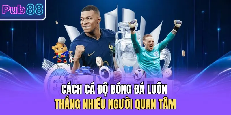 Cách cá độ bóng đá luôn thắng nhiều người quan tâm