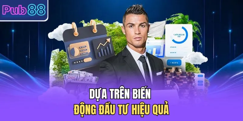 Dựa trên biến động đầu tư hiệu quả