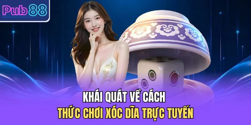Khái quát về cách thức chơi xóc dĩa trực tuyến 