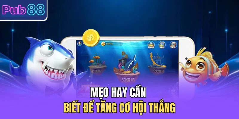 Mẹo hay cần biết để tăng cơ hội thắng