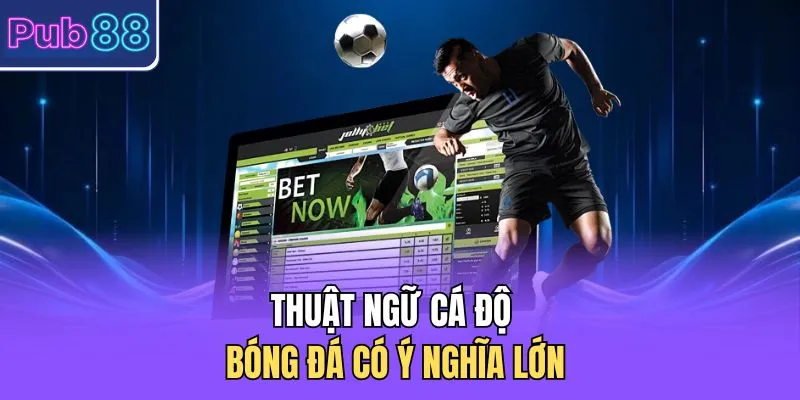 Thuật ngữ cá độ bóng đá có ý nghĩa lớn 